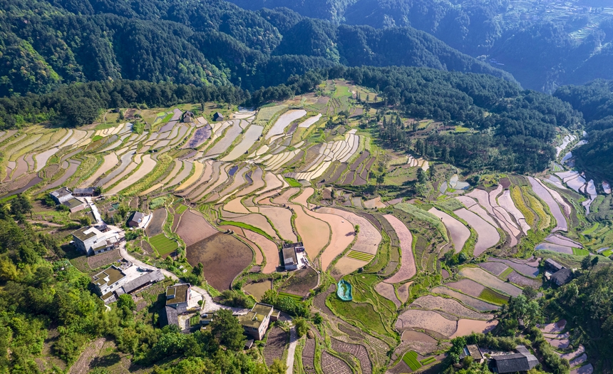 2025年5月12日，貴州省畢節市黔西市中坪鎮青山環抱的梯田正在進行蓄水翻耕。