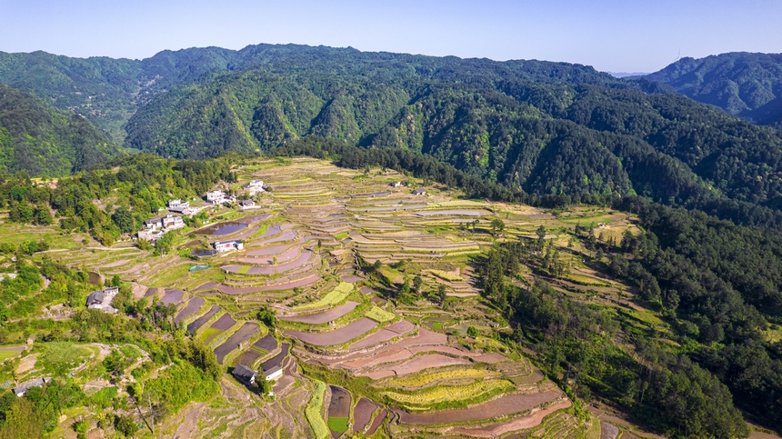 2025年5月12日，貴州省畢節市黔西市中坪鎮青山環抱的梯田正在進行蓄水翻耕。