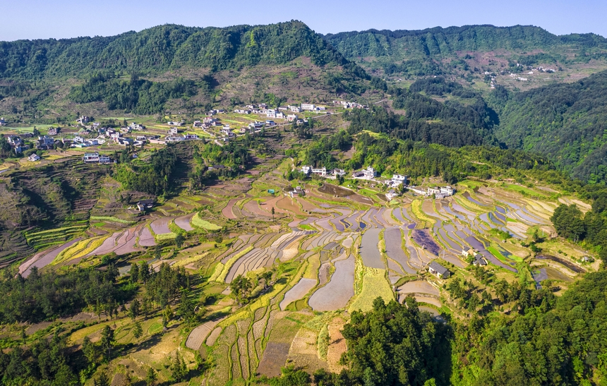 2025年5月12日，貴州省畢節市黔西市中坪鎮青山環抱的梯田正在進行蓄水翻耕。