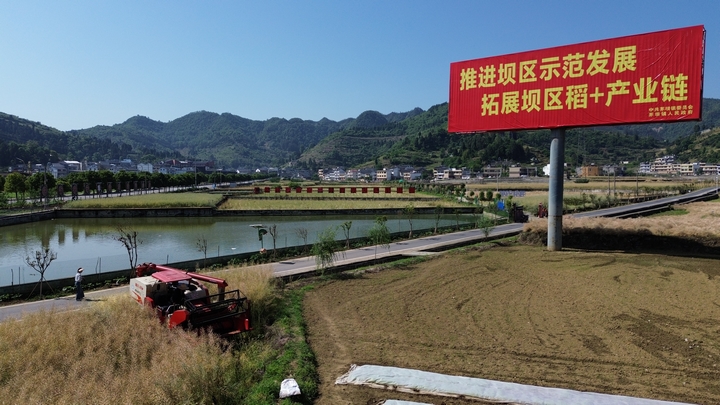 收割机正在采收油菜。.jpg