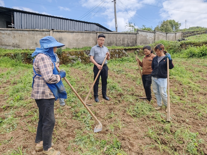 学孔镇农技专家为种植户讲解黄花管护技术.jpg
