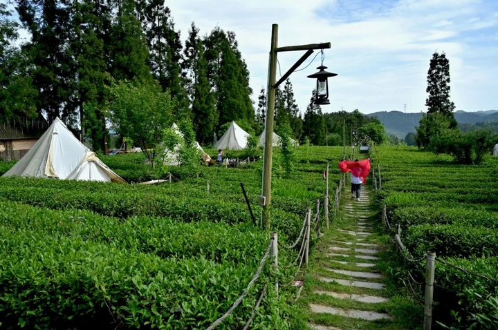 雲山茶海體驗.jpg
