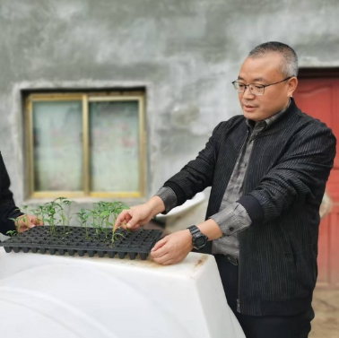 眼下正值辣椒育苗的好时节，走进黔西市莲城街道坪子社区的贵州省黔沃农业科技有限公司基地内，呈现出一片热闹非凡的劳作景象。