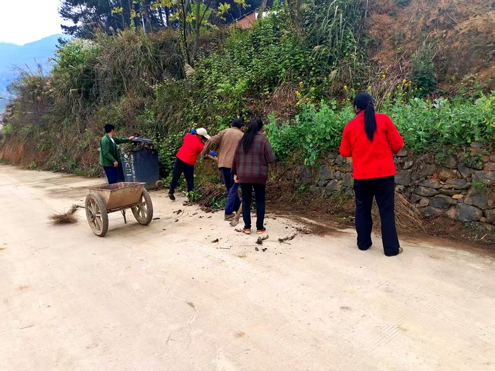 群众对道路两旁的垃圾、杂草等杂物进行地毯式清理（何小露 摄）.jpg