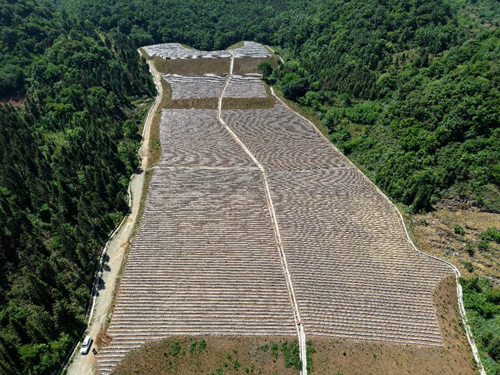 盘兴铁路保田车站二号弃渣场复垦。
