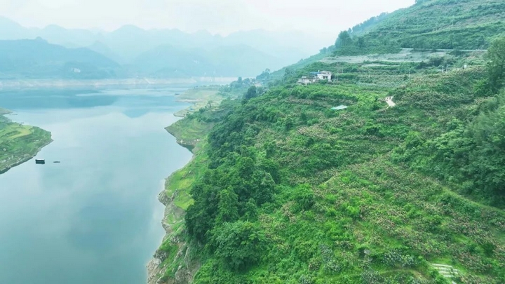 图为：龙水乡枇杷基地.jpg