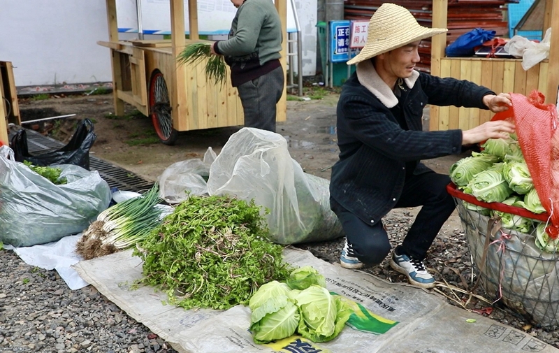 村民把新鮮蔬菜擺放整齊。