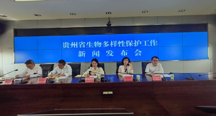 新闻发布会现场。
