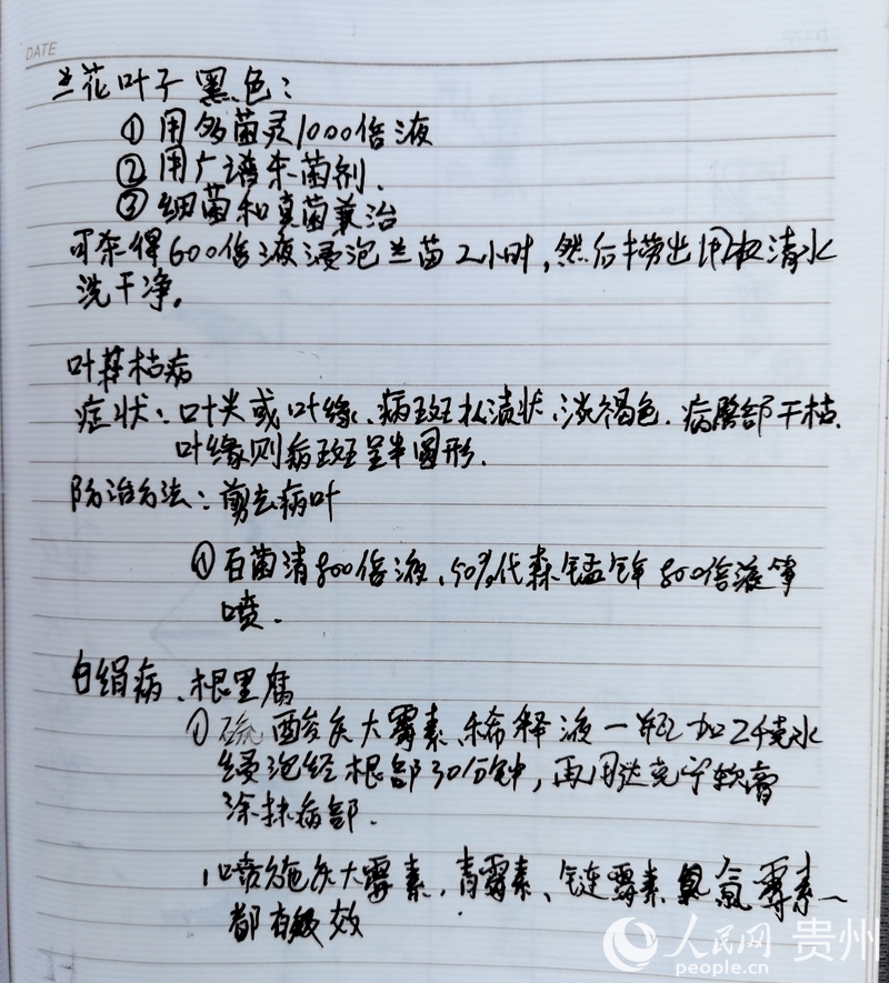 杨华飞的笔记本上，详细记录着兰花常见的病虫害和治疗方法。人民网记者 王秀芳摄.jpg