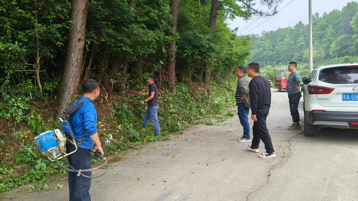 图为：村两委实地勘察.jpg