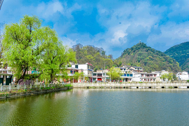 羊场村。蒋世良摄