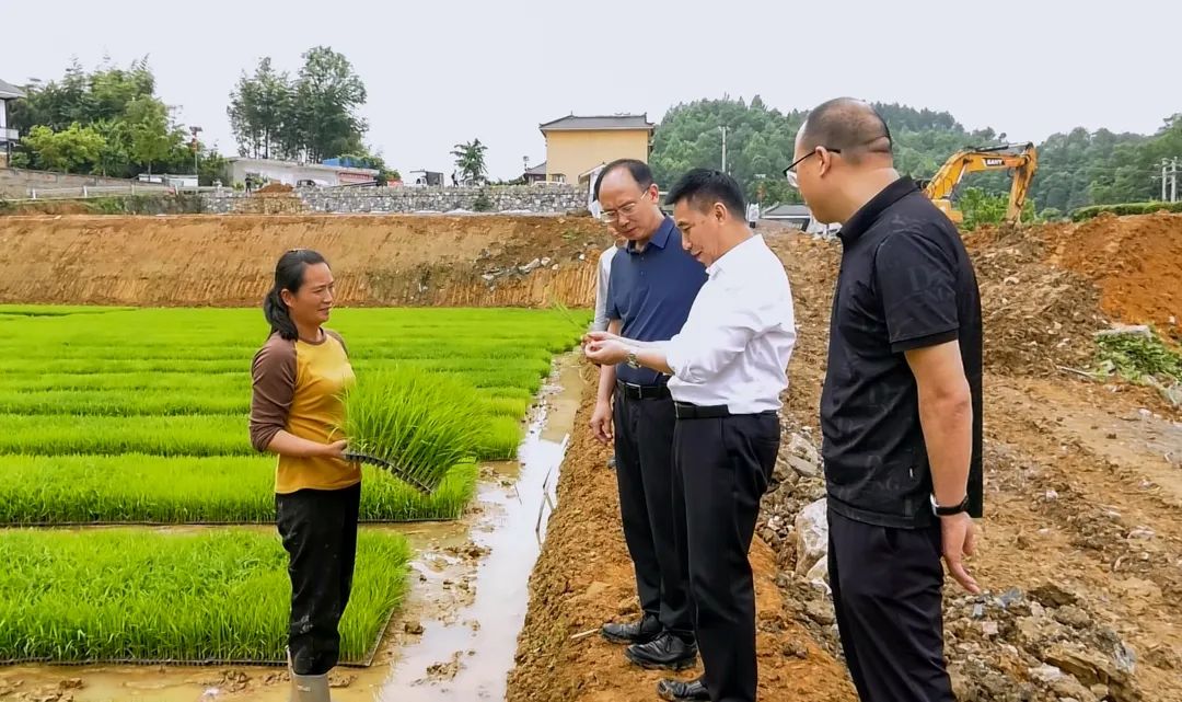實地調研山地特色高效農業先行區建設等情況。