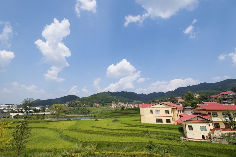 美丽家园。