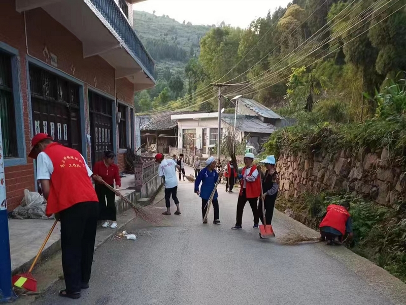 农村人居环境整治。