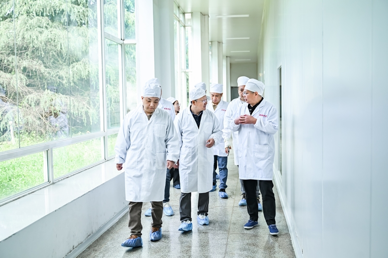 在贵州科晖制药有限公司实地考察胶囊剂、颗粒剂生产线。