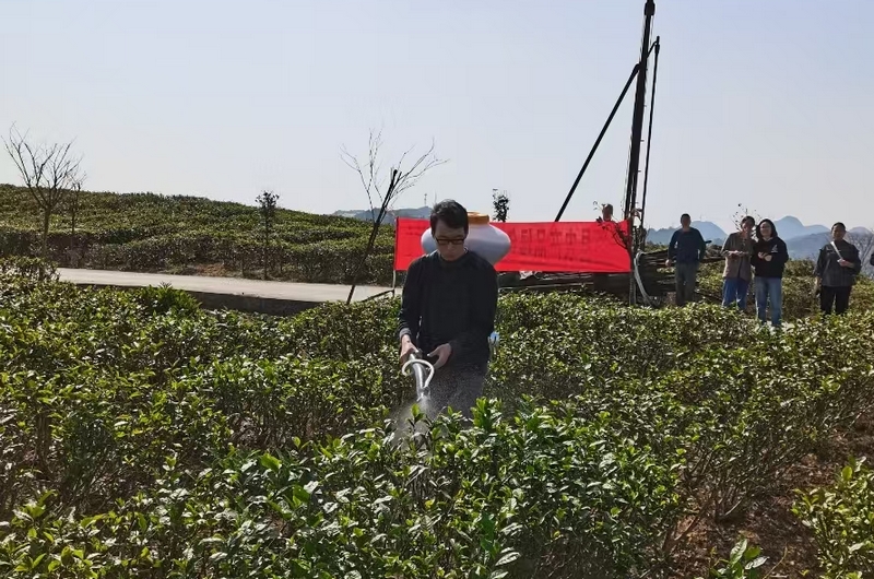 金智超在农业一线调研、示范操作。受访者供图