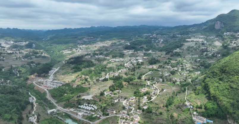 龍塘村。