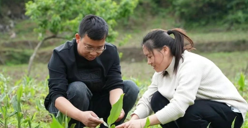 成忠均給農戶講解種植管護技巧。