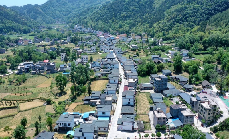朝陽村。