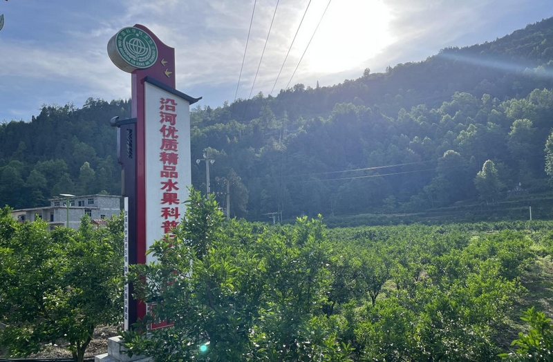 朝陽村。
