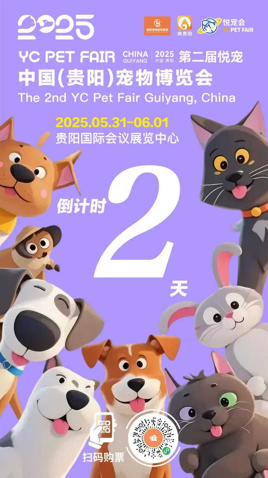 扫码购票。
