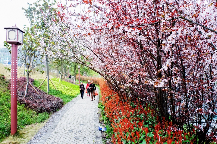 健康步道。.jpg