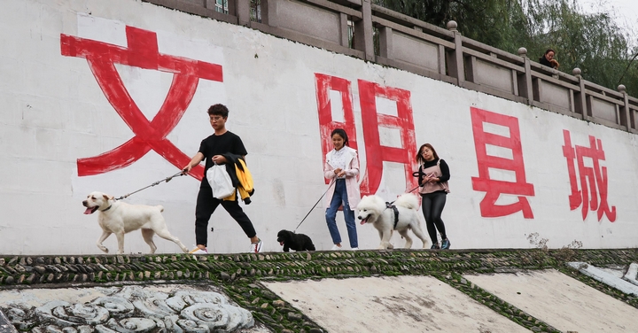 遛狗拴犬绳,做文明养犬人。.jpg