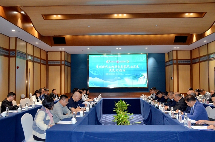 会议现场.jpg