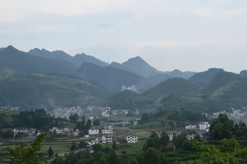 官仓美丽乡村。王华秦摄