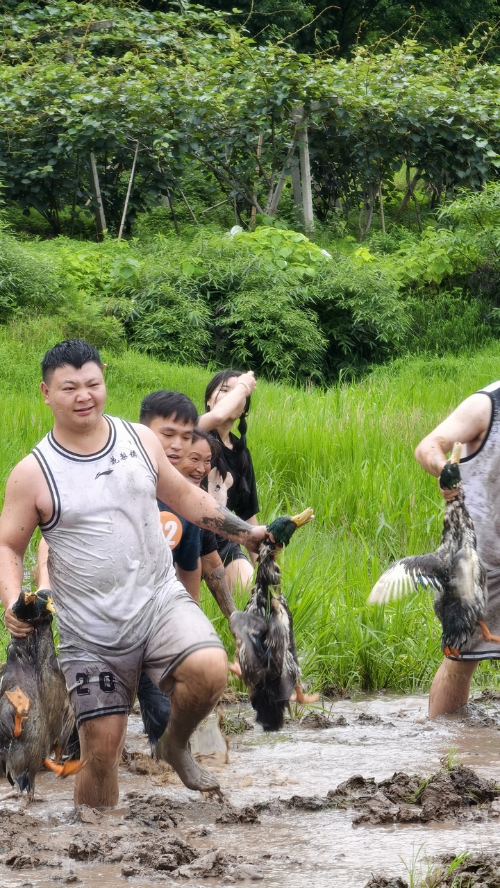 捉鸭比赛活动.jpg