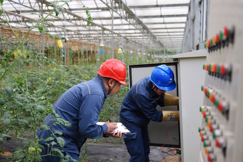 遵义播州供电局枫香供电所工作人员对九丰蔬菜种植专业合作社园区的智能温控大棚开展用电“义诊”。陈琪摄