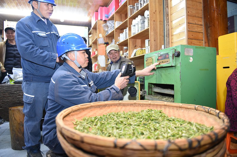 贵州电网凯里黎平供电局员工走进黎平县肇兴侗寨茶叶制作户开展用电服务。 陈举摄