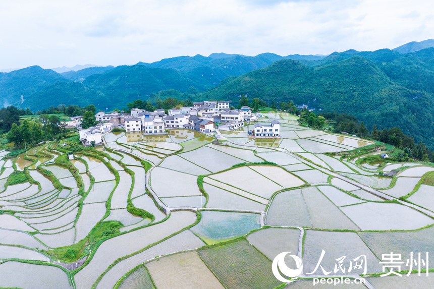 航拍貴陽市花溪區高坡苗族鄉梯田。人民網記者 涂敏攝