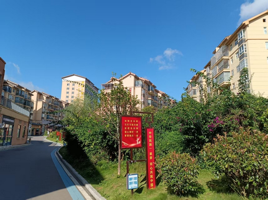 栗坪社区。