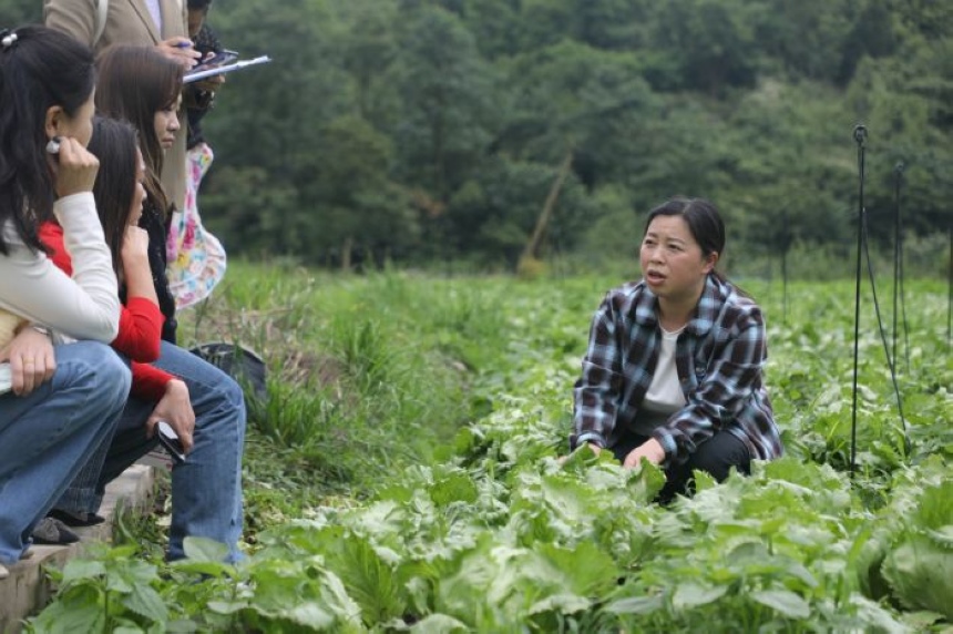 陈家秀向种植农户和部门人员讲解结球生菜栽培关键技术。