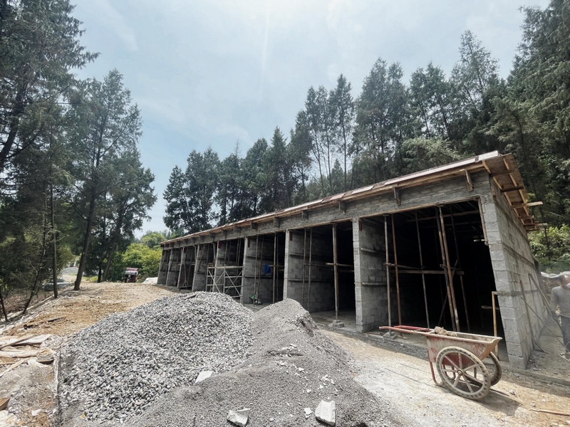 桑木镇新建烤房。