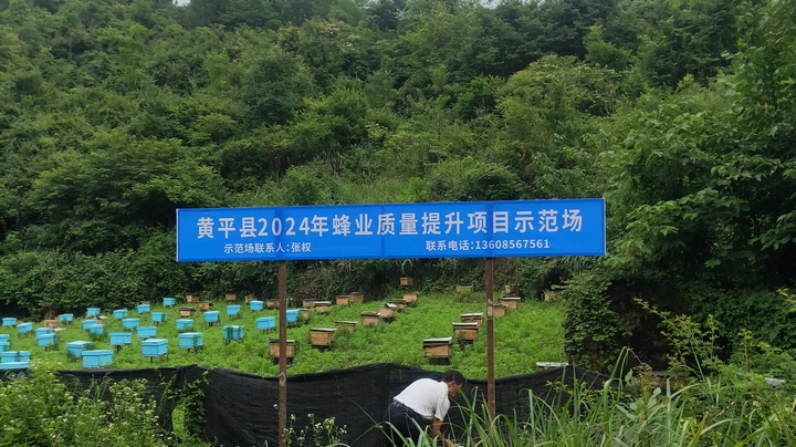 黃平縣2024年蜂業質量提升項目示范場。