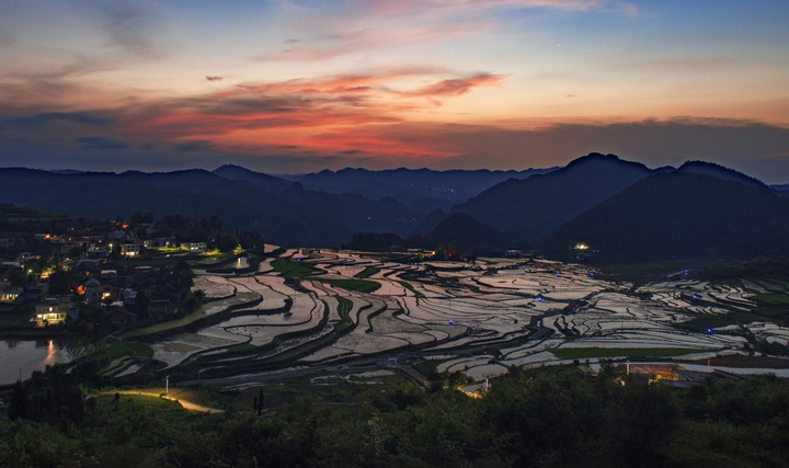 富硒大米种植基地.jpg