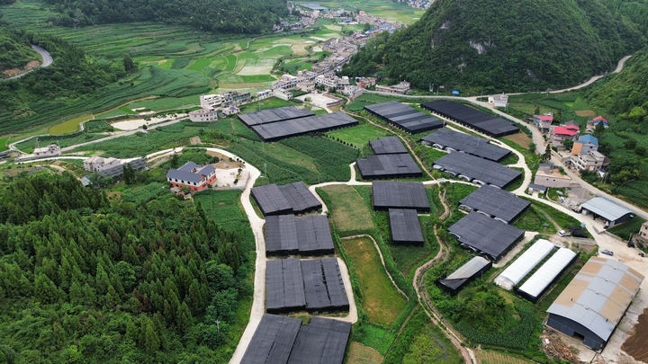 图为：食用菌种植基地全景.jpg