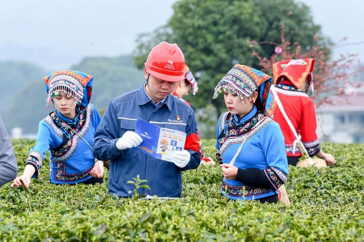 南方电网贵州遵义湄潭供电局工作人员来到田间地头，了解农户对“电制茶”用电需求，并进行安全用电知识宣传。梁军 摄.jpg
