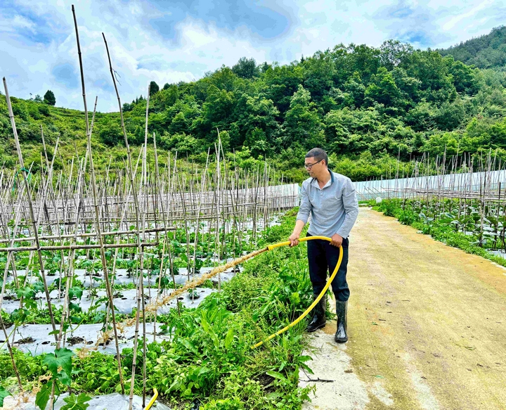 4、基地负责人胡朋熟练地拧开阀门，一股经过充分发酵的液态肥汩汩流出，缓缓注入菜畦。刁苓沙 摄.jpg