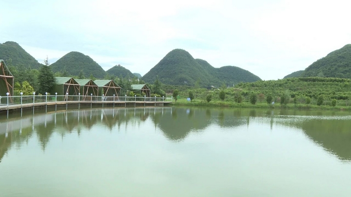 普定縣馬官鎮金荷村的獼猴桃基地面貌。.jpg