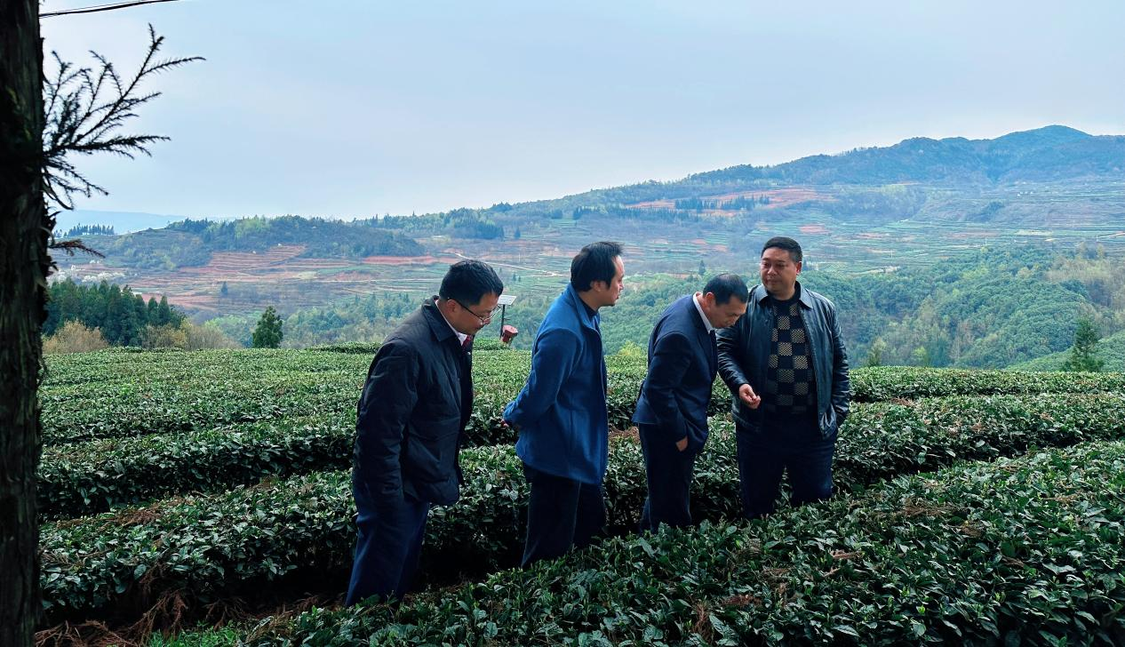 图为工行六盘水分行以“多彩农链通”金融服务为抓手，助力凉都特色农业产业。