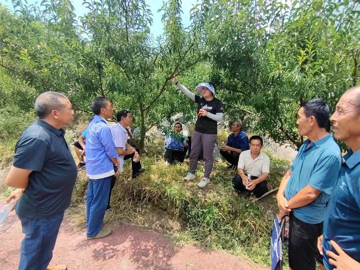 图为：开展农业技术培训实践活动.jpg