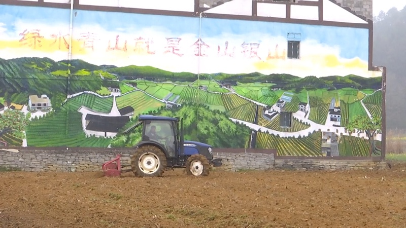 在金沙縣柳塘鎮淹壩村，農機正在田間地頭來回穿梭翻犁土地。吳艷禹攝