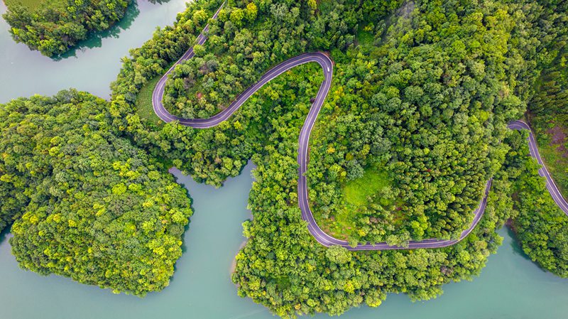 貴州省畢節市百裡杜鵑管理區百裡杜鵑湖美景。