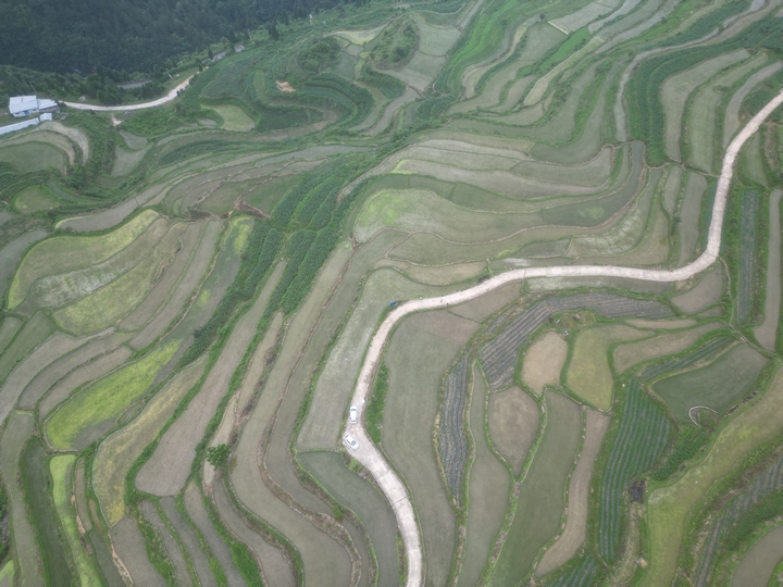 图为：高寨乡平寨村梯田美景.jpg