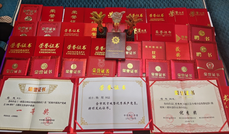 楊旭獲得的獎項。
