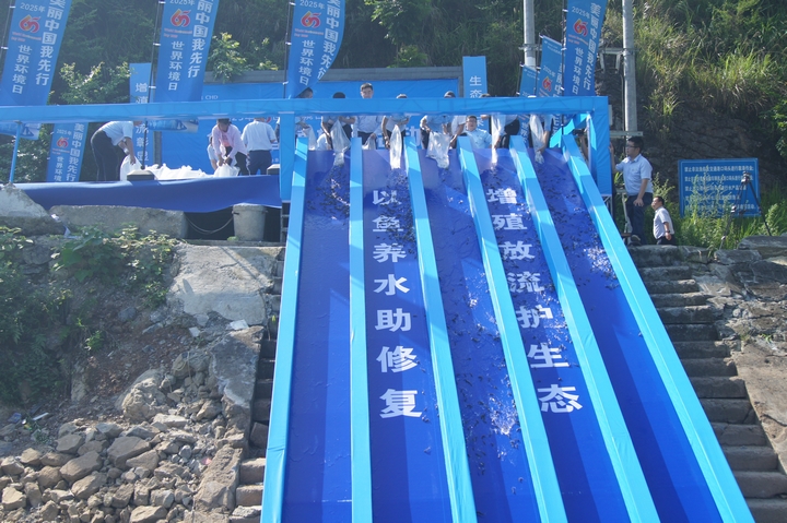 思林發電廠庫區放流現場。