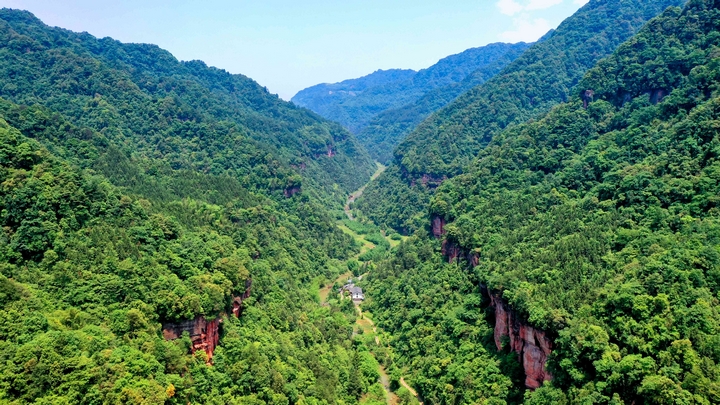 坭坝清溪沟，蕨类添生机，青山抱峡谷，清凉生态秘境。习水县融媒体中心供图.jpg